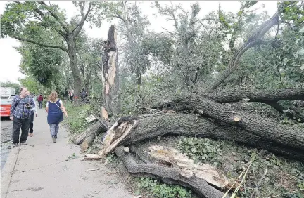  ?? JOHN MAHONEY ?? Damaged tree trunks are strewn about Notre-Dame-de-Grâce Park Wednesday, following Tuesday’s microburst storm.