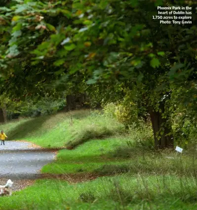  ??  ?? Phoenix Park in the heart of Dublin has 1,750 acres to explore Photo: Tony Gavin