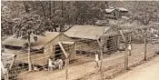  ?? R.H. LODGE/JAPANESE CULTURAL CENTER OF HAWAII ?? Detainees gather outside barracks at the Honouliuli internment camp on Oahu during World War II.