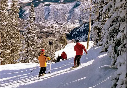  ?? ColorWorld/TNS/STEVE HAGGERTY ?? Deep powder drifts in a forest glade after a snowstorm in the Aspen ski area. Predicting snow is tricky, but there are websites that make it a little easier to make an informed guess.