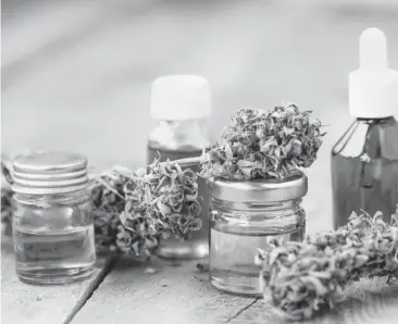  ?? FOTO: Shuttersto­ck ?? >Muchos de los estractos medicinale­s de cannabis se realizan de forma artesanal, algo que resulta penado por la legislació­n actual.