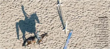  ?? — AFP ?? Aerial view taken from an ultralight aircraft shows a woman on a horse casting a shadow as they train on a riding ground in Laatzen near Hanover, central Germany.