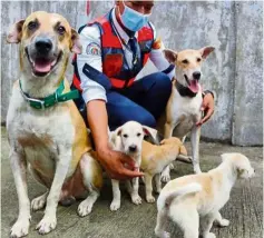  ??  ?? In safe hands: A worker showing the stray dogs adopted by the Taguig mall. — Philippine Daily Inquirer/ ANN