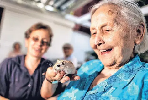  ?? RP-FOTO: RALPH MATZERATH ?? Margaretha Wenzel (rechts) freut sich über die Wüstenrenn­maus, die Gabi Weyerhorst der Seniorin im Haus Horst zeigt.