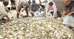  ??  ?? An investigat­ive report produced by wildlife monitory group Traffic has revealed a thriving trade in poached South African abalone in markets in Hong Kong.