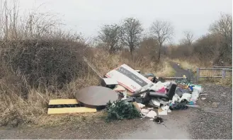  ??  ?? The rubbish dumped by a Washington firm