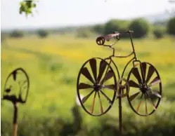  ??  ?? Ci-dessus : sur ces terres bien planes, le vélo est le meilleur ami du visiteur. Ci-dessous : l'emblème de la maison règne sous toutes ses formes dans le jardin.