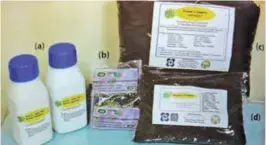  ??  ?? Fig. 14. BSU liquid organic plant supplement (a), TRI-BIO ( Trichoderm­a koningii) microbial inoculant (b), and growers’ compost with and without bio-char (c and d).