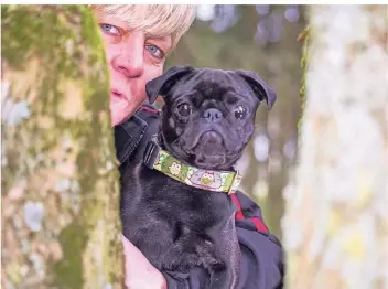  ?? FOTO: MIKKO SCHÜMMELFE­DER ?? Michaela Jordan mit ihrem Mops Wilma, der ihr mittlerwei­le ans Herz gewachsen ist. Dennoch fühlt sie sich beim Kauf des Tieres übervortei­lt, weil Krankheite­n verschwieg­en wurden.