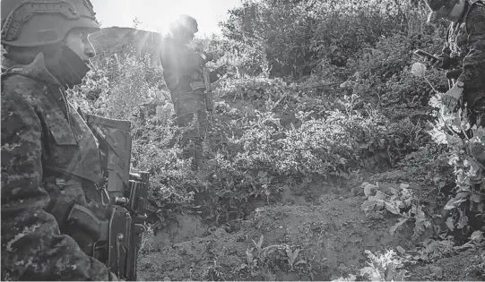  ?? DANIELE VOLPE The New York Times ?? Guatemalan security personnel conduct an operation to eradicate opium poppies last month in Vista Quetzal, Tajumulco, San Marcos.