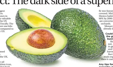  ??  ?? The Hass avocado, which is the world’s top-selling variety