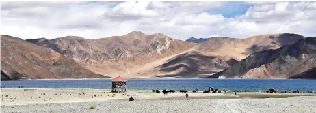  ?? Photo — AFP ?? File photo shows tourists taking selfies as cows gaze in front of the Pangong Lake in Leh district of Union territory of Ladakh bordering India and China.