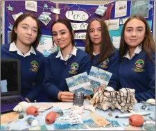  ??  ?? Orla Ni Dhufaigh , Aisling Ní Chonchúir, Sarah Ní Ghuithín and Aimee Rose McAuiliffe from Pobalscoil Chorca Dhuibhne.