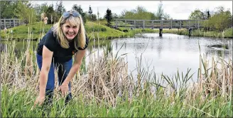  ?? DESIREE ANSTEY/JOURNAL PIONEER ?? Tracy Brown, BBEMA’s executive director, at one of the popular parks in Summerside that was part of the tick drag.