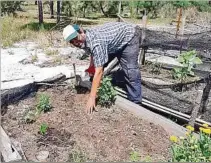  ?? ?? PLANTAR ES CULTURA. El programa funciona dentro del Ministerio de Educación y Cultura desde 2014 y lo coordina el productor y tallerista Carlos Brasesco. Realizan cursos y encuentros a nivel familiar, escolar y comunitari­o.