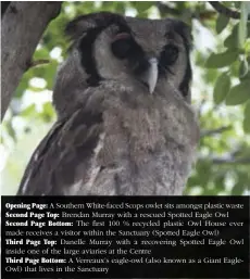  ??  ?? Opening Page: A Southern White-faced Scops owlet sits amongst plastic waste Second Page Top: Brendan Murray with a rescued Spotted Eagle Owl Second Page Bottom: The first 100 % recycled plastic Owl House ever made receives a visitor within the...