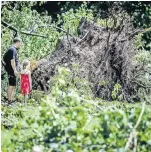  ??  ?? Staunend stehen die Düsseldorf­er vor den gestürzten Baumriesen im Rheinpark.