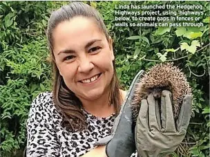  ?? ?? Linda has launched the Hedgehog Highways project, using ‘highways’, below, to create gaps in fences or walls so animals can pass through