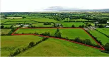  ??  ?? The 60ac farm at Camus near Cashel is guided at €965,000
