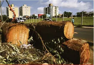  ?? Saulo Ohara ?? Após a remoção das árvores deverá ocorrer outra interdição para a construção de um muro de arrimo