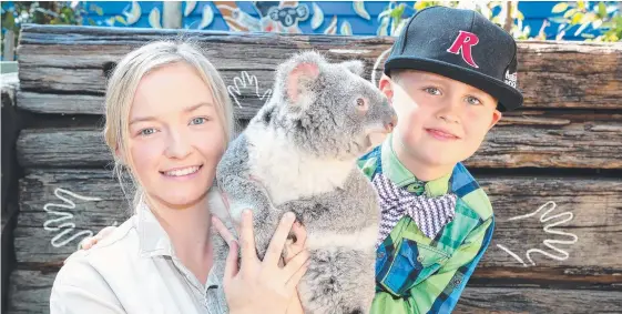  ?? Main picture: RICHARD GOSLING ?? Wildlife attendant Ashleigh Neal and Harvey Nelson, 6, help launch Dreamworld’s koala breeding program and (below) police warn drivers about the number of koalas being killed on our roads.