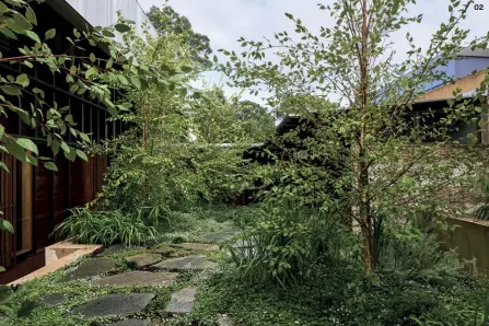  ??  ?? 01 — DYLA’s design reinforces the garden as an introspect­ive space for domestic inhabitati­on. 02 — Plantings of Betula nigra screen views through the garden to the seating area at the rear of the courtyard.