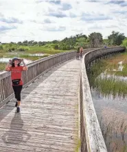  ?? PALM BEACH POST FILE ?? The 45-acre Moncada property will become part of the Wellington Environmen­tal Preserve, a popular place to walk and observe wildlife.