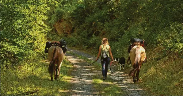  ?? Fotos: Linda Balz, Simone Hage Fotografie ?? Simone Hage aus Aichach reist zusammen mit zwei Pferden und einem Hund bis in den Norden Europas. Über ihr Abenteuer wird sogar ein Kinofilm gedreht.