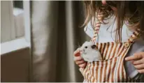  ?? (Photo from the article, 7 Best Small Pets to Consider for Your Child, the Parents website) ?? A little girl puts her pet rodent inside her jumper pocket.