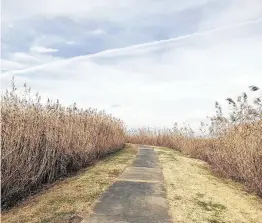  ?? Jody Schmal / Staff ?? Louisiana’s Sabine National Wildlife Refuge