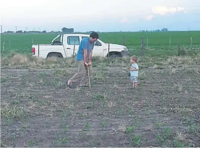  ??  ?? Diagnóstic­o. Es decisivo para hacer un seguimient­o y determinar una dosis de fertilizan­tes más ajustada.