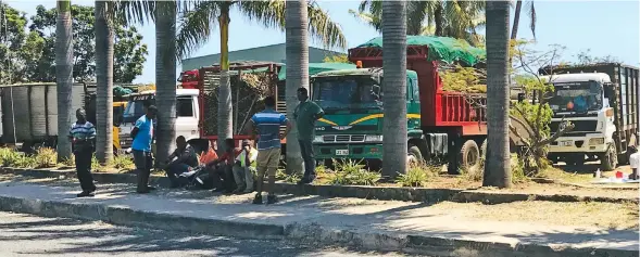 ??  ?? Around 400 sugar cane trucks were diverted from the Rarawai Mill in Ba to the Lautoka mill at the weekend.