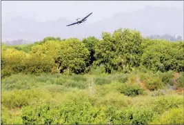  ?? LOANED PHOTO ?? A OKABE FLIES OVER the East Wetlands area Aug. 31 to deliver insecticid­e targeting mosquito larvae along the Colorado River.