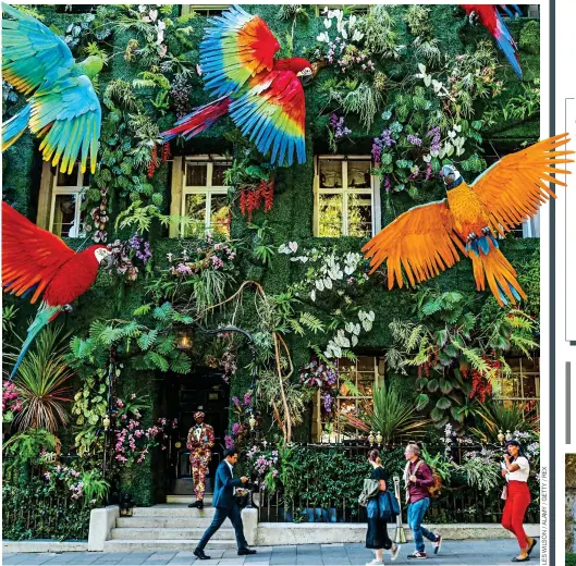  ?? ?? FLYING COLOURS: A vibrant parrot display outside Annabel’s last September. Left: The club’s mock-up of a planned unicorn design