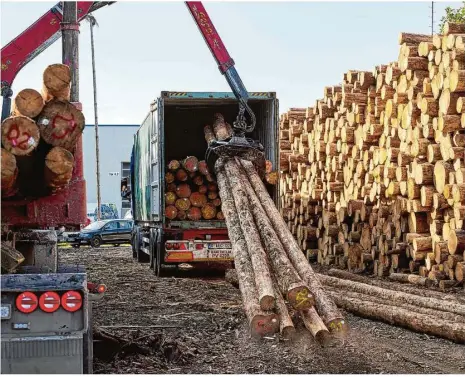  ?? Foto: Thomas Frey/dpa ?? Hier wird Rohholz in einen Container verladen, der nach China verschifft werden soll.
Kommentar