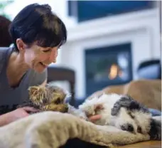  ?? KEN FAUGHT PHOTOS FOR THE TORONTO STAR ?? Dana Baines hangs out with Marco, left, and Robbie, right. Baines has left plenty of pillows around the house for the comfort of the animals.