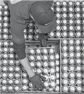  ?? KARL MERTON FERRON/BALTIMORE SUN MEDIA ?? Wayne Hill stacks six-packs onto a waiting forklift at Duclaw Brewing Co. on Sept. 29.