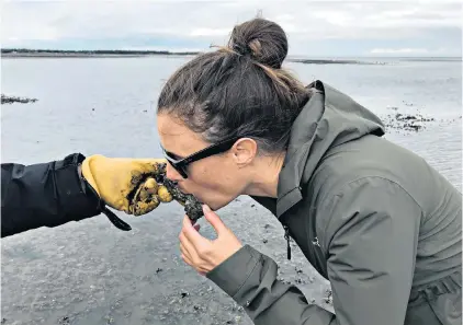  ??  ?? i Shuck it and see: Justine Gosling slurps an oyster fresh from the sea
hThe unappetisi­ng, gnarly shell of the mollusc contains ‘edible utopia’