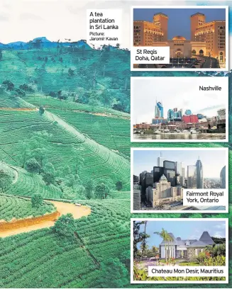  ?? Picture: Jaromír Kavan ?? A tea plantation in Sri Lanka
St Regis Doha, Qatar
Nashville
Fairmont Royal York, Ontario
Chateau Mon Desir, Mauritius