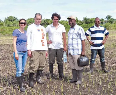  ??  ?? Argentino. Emiliano Mroue (en el centro con el agua), en un arrozal en Sierra Leona. Clarín Rural contó su caso en mayo.