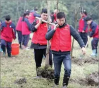  ?? WANG ZHENG / FOR CHINA DAILY ?? Volunteers move a sapling during a tree-planting activity in Lishan village in Deqing, Zhejiang province, on March 11, the eve of China’s Arbor Day. The nation has celebrated its Arbor Day on March 12 since 1979.