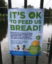  ??  ?? LEFT This handmade sign appeared in a park in Derbyshire, sparking a viral debate about whether it was okay to feed bread to ducks