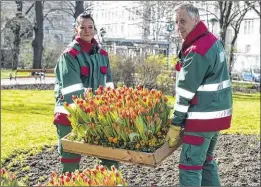  ??  ?? Die Parks der Stadt erstrahlen mit farbenfroh­er Blumenprac­ht