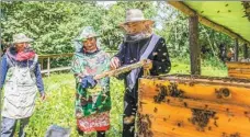  ?? PHOTOS PROVIDED TO CHINA DAILY ?? Top: Miaoba village in Chongqing has upgraded its infrastruc­ture and banished absolute poverty. Above: Rural residents collect honey from buzzing hives in August.