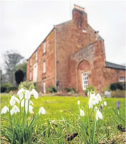  ??  ?? Snowdrops at Lawton House. Picture: Steve MacDougall.