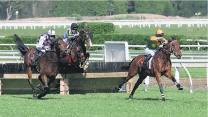  ?? Trish Dunell ?? Danza Lad in control at Te Rapa yesterday.