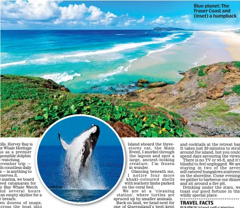  ??  ?? Blue planet: The Fraser Coast and (inset) a humpback