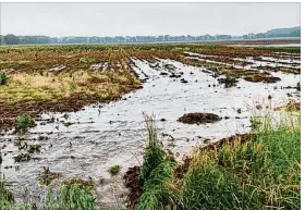  ??  ?? The U.S. Department of Agricultur­e is planning to resurvey farmers to get a better indicator of how many acres actually weren’t planted in Ohio.