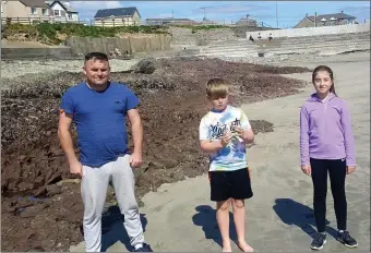  ??  ?? Enjoying the recent beautiful fine weather at Ballyheigu­e beach were Mikey O’Sullivan from Lixnaw with locals Kalum and Céide Hussey. Photo Moss Joe Browne.