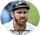  ??  ?? Kane Williamson